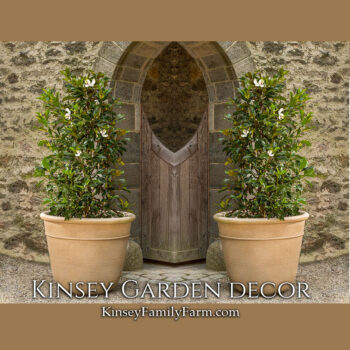 Kinsey Garden Decor Carema Planters extra large