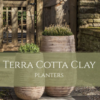 Terra Cotta, Clay Pot Planters