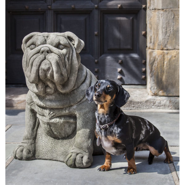 Kinsey Garden Decor Antique Bulldog Statue