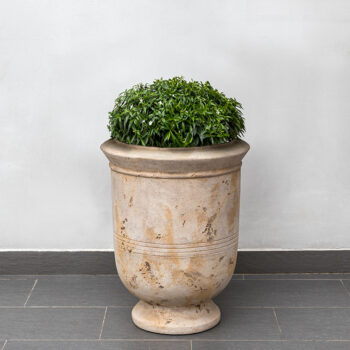 Kinsey Garden Decor Vaucluse Urn Antico Terra Cotta