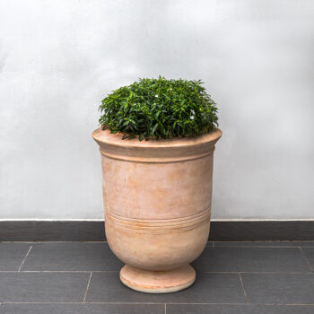 Kinsey Garden Decor Vaucluse Urn Terra Cotta